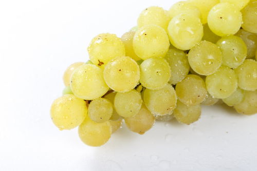 手指紅提 蔬菜水果圖片素材庫中的精致選擇